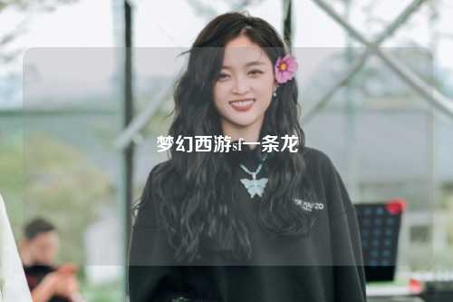 梦幻西游sf一条龙