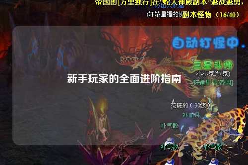 新手玩家的全面进阶指南