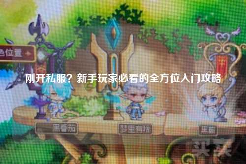 刚开私服?新手玩家必看的全方位入门攻略