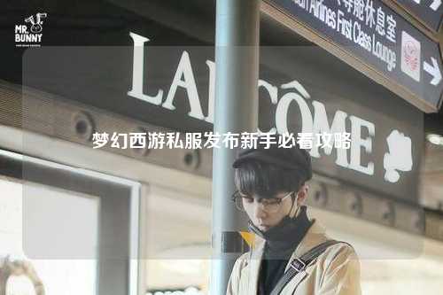 梦幻西游私服发布新手必看攻略