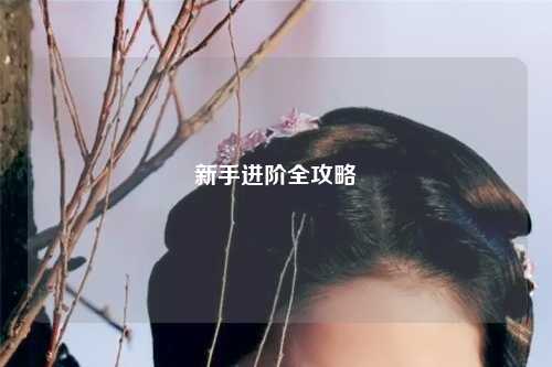 新手进阶全攻略