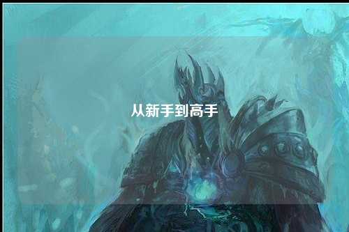 从新手到高手