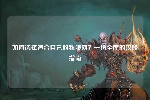 如何选择适合自己的私服网?一份全面的攻略指南