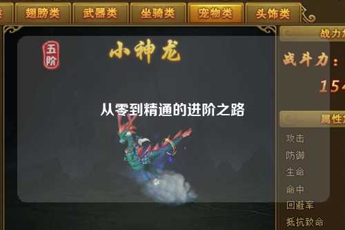 从零到精通的进阶之路