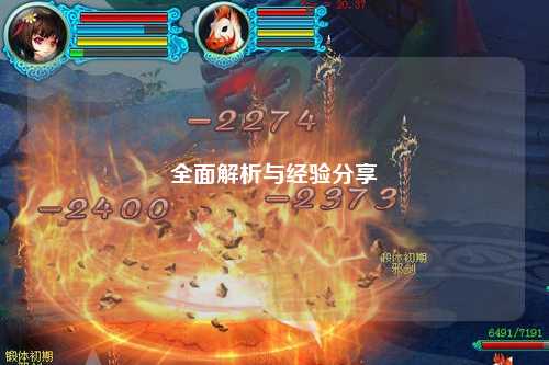 全面解析与经验分享