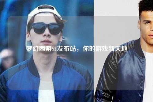 梦幻西游SF发布站，你的游戏新天地