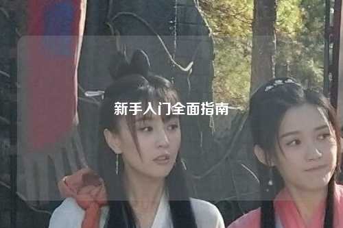 新手入门全面指南