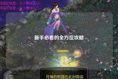 新手必看的全方位攻略