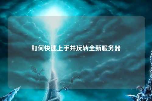 如何快速上手并玩转全新服务器