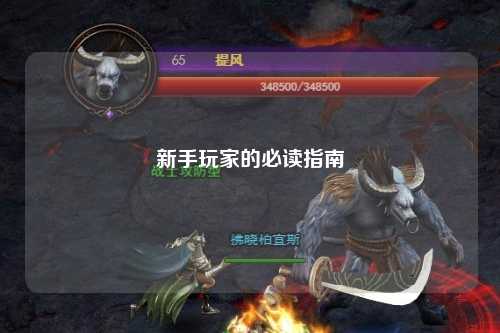新手玩家的必读指南