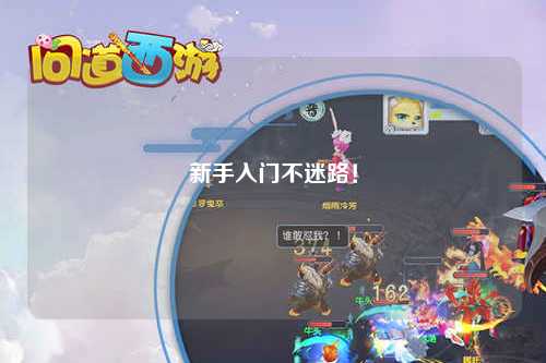 新手入门不迷路!