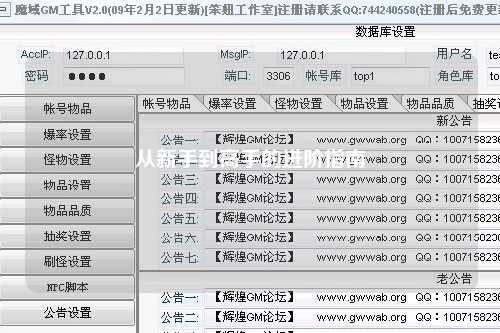 从新手到高手的进阶指南