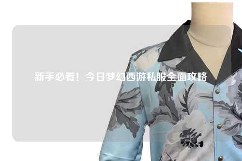 新手必看!今日梦幻西游私服全面攻略