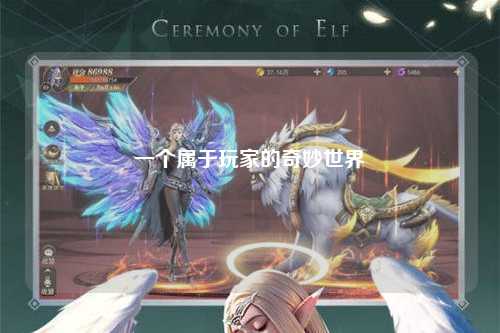 一个属于玩家的奇妙世界