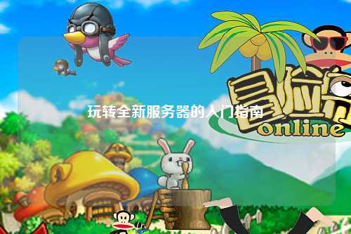 玩转全新服务器的入门指南