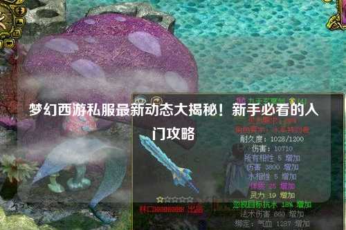 梦幻西游私服最新动态大揭秘！新手必看的入门攻略