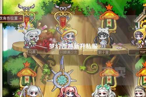 梦幻西游新开私服